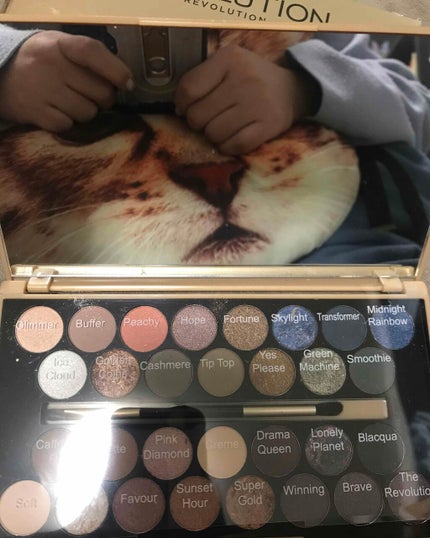 30アイシャドウパレット フォーチュンフェイバーズ ザブレイブ/MAKEUP REVOLUTION/アイシャドウパレットを使ったクチコミ(3枚目)