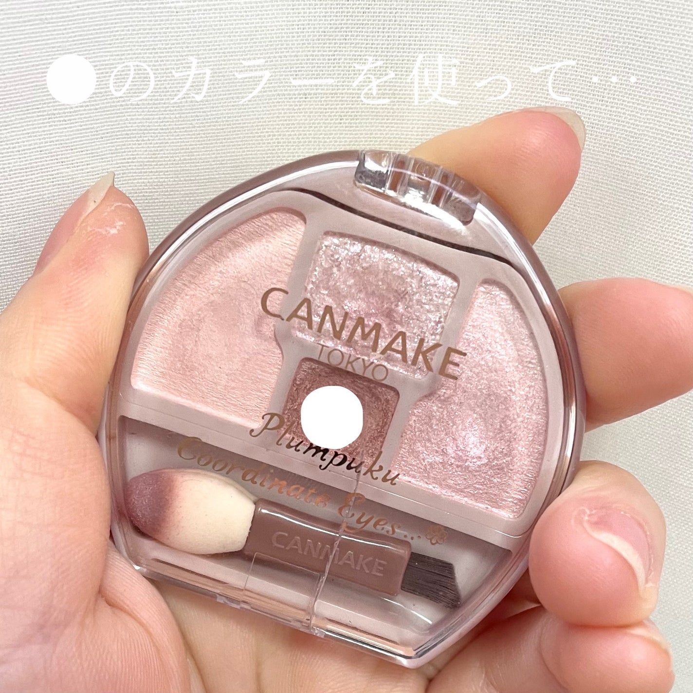 プランぷくコーデアイズ/キャンメイク/パウダーアイシャドウを使ったクチコミ(2枚目)
