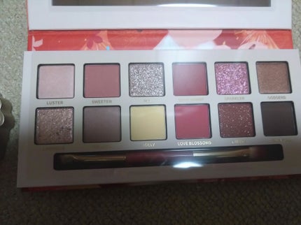 エクスプローラ12色 動物アイシャドウパレット/PERFECT DIARY/アイシャドウパレットを使ったクチコミ(3枚目)