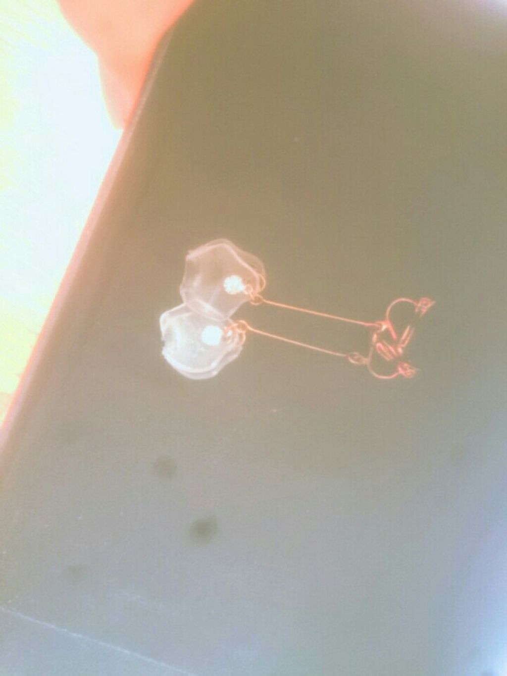 イヤリング/サンキューマート/その他を使ったクチコミ（2枚目）