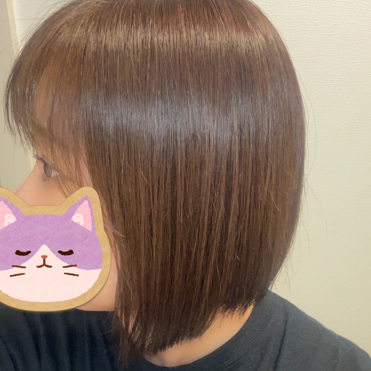 リノヴィールシャンプー/トリートメント /リノヴィール/サロンシャンプーを使ったクチコミ(5枚目)