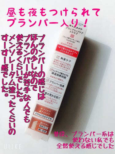 プランプリップケアスクラブ/キャンメイク/リップケア・リップクリームを使ったクチコミ（4枚目）