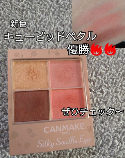 シルキースフレアイズ(マットタイプ)/キャンメイク/アイシャドウパレットを使ったクチコミ(6枚目)
