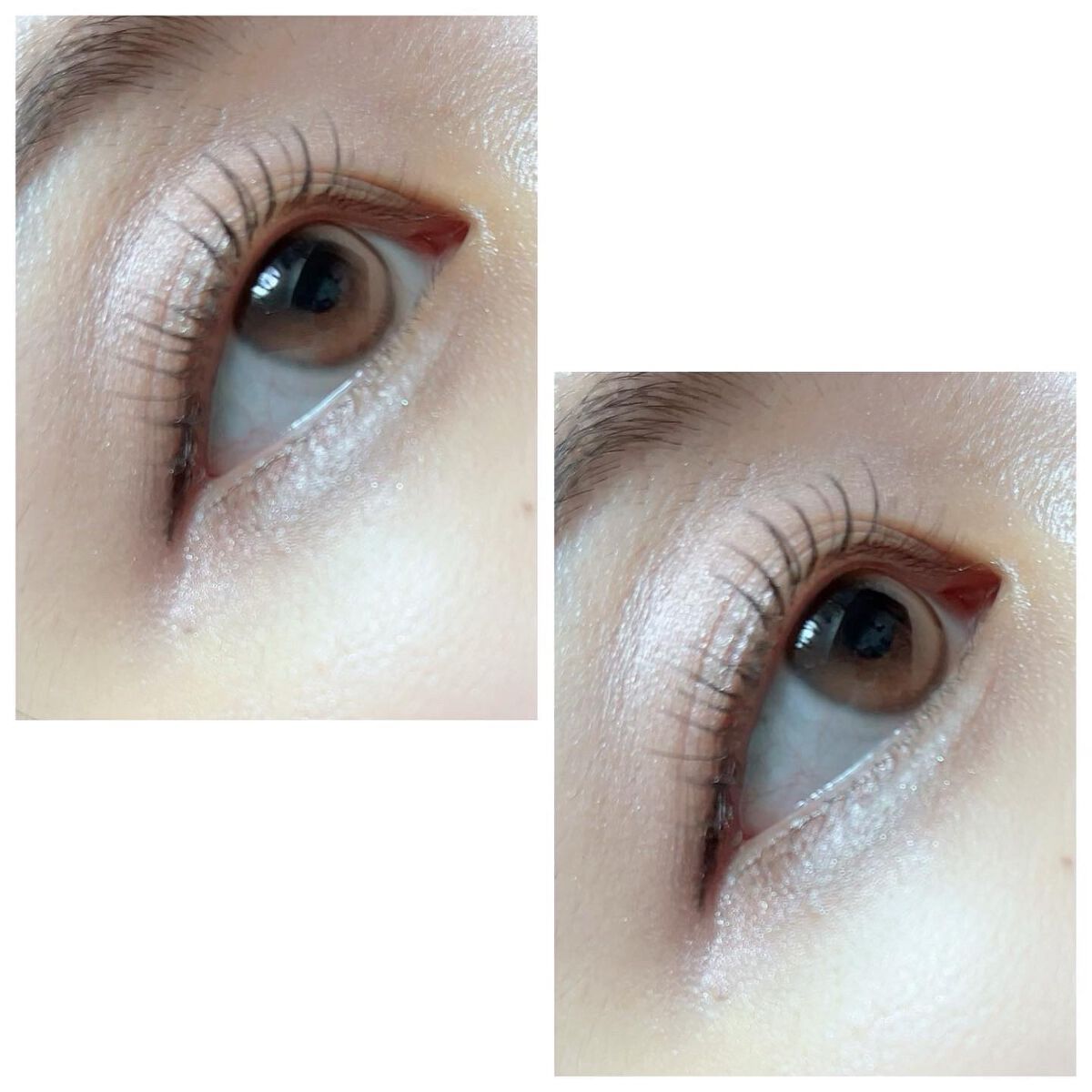 Dewy Kristin Monthly - ブラウン/Hapa kristin/カラーコンタクトレンズを使ったクチコミ(4枚目)