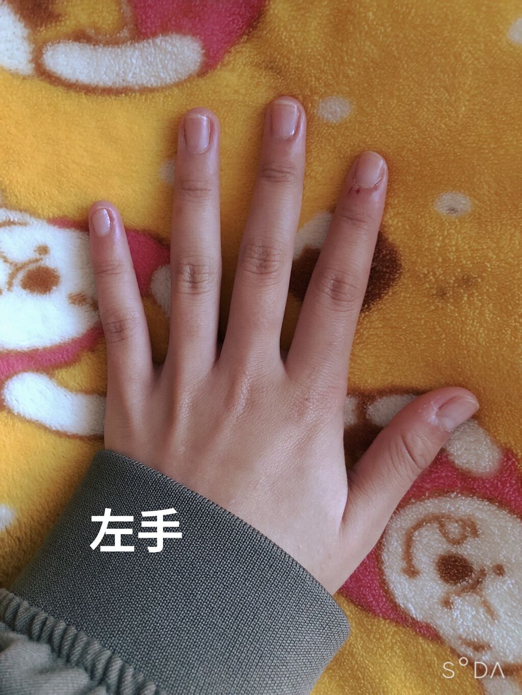 を使ったクチコミ（3枚目）