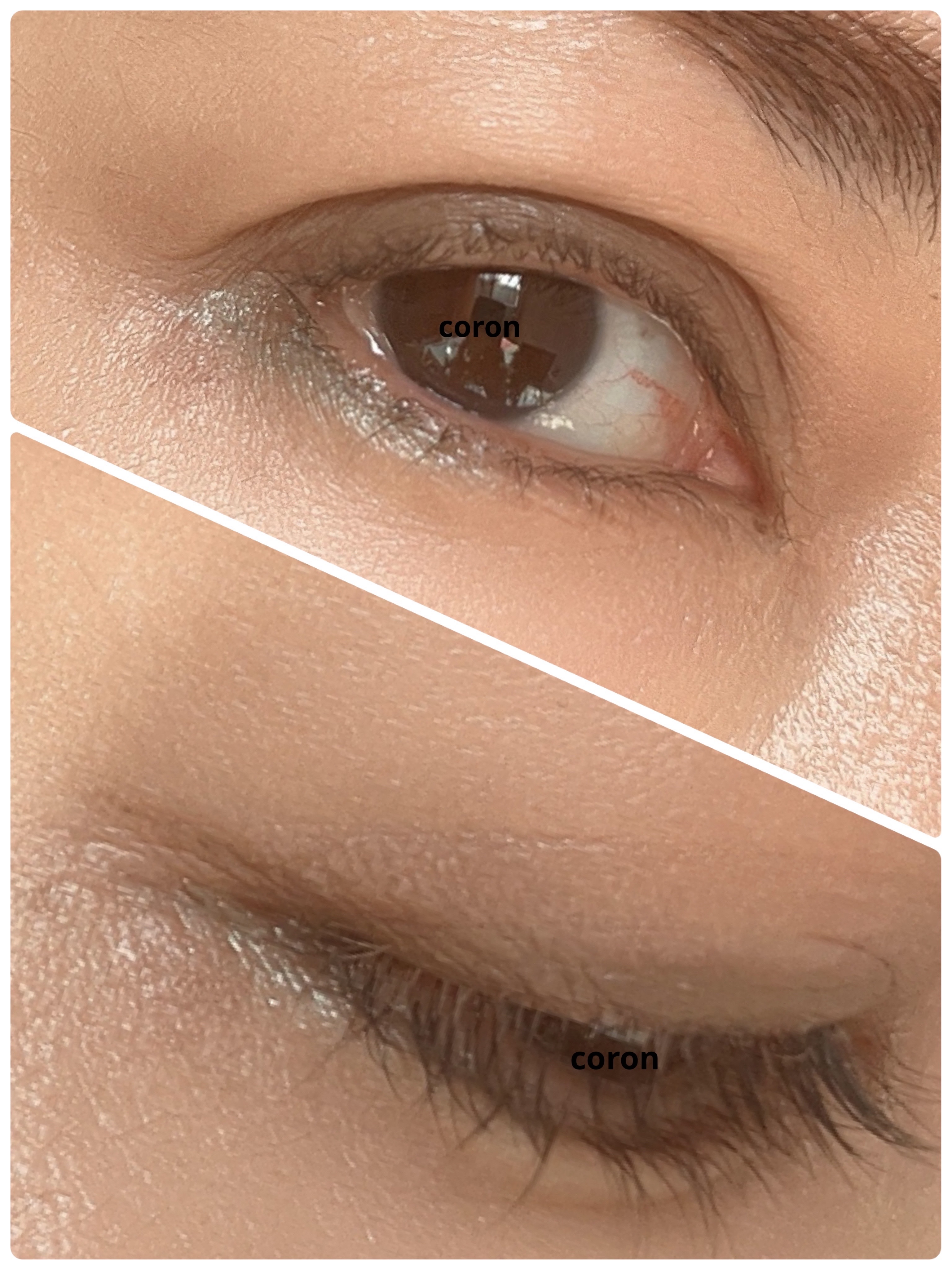 セルヴォーク ヴォランタリー アイズ/Celvoke/単色アイシャドウを使ったクチコミ（2枚目）