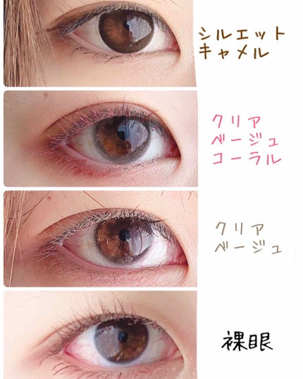 eye closet 1DAY/EYE CLOSET/ワンデー(1DAY)カラコンを使ったクチコミ(2枚目)