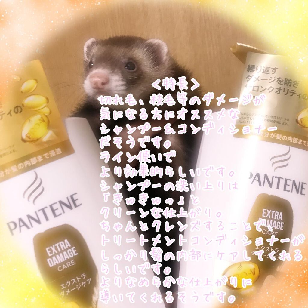 エクストラダメージケア シャンプー／トリートメント in コンディショナー シャンプー/パンテーン/市販シャンプーを使ったクチコミ（2枚目）