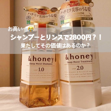 ディープモイスト シャンプー1.0／ヘアトリートメント2.0/&honey/シャンプー・コンディショナーを使ったクチコミ（1枚目）