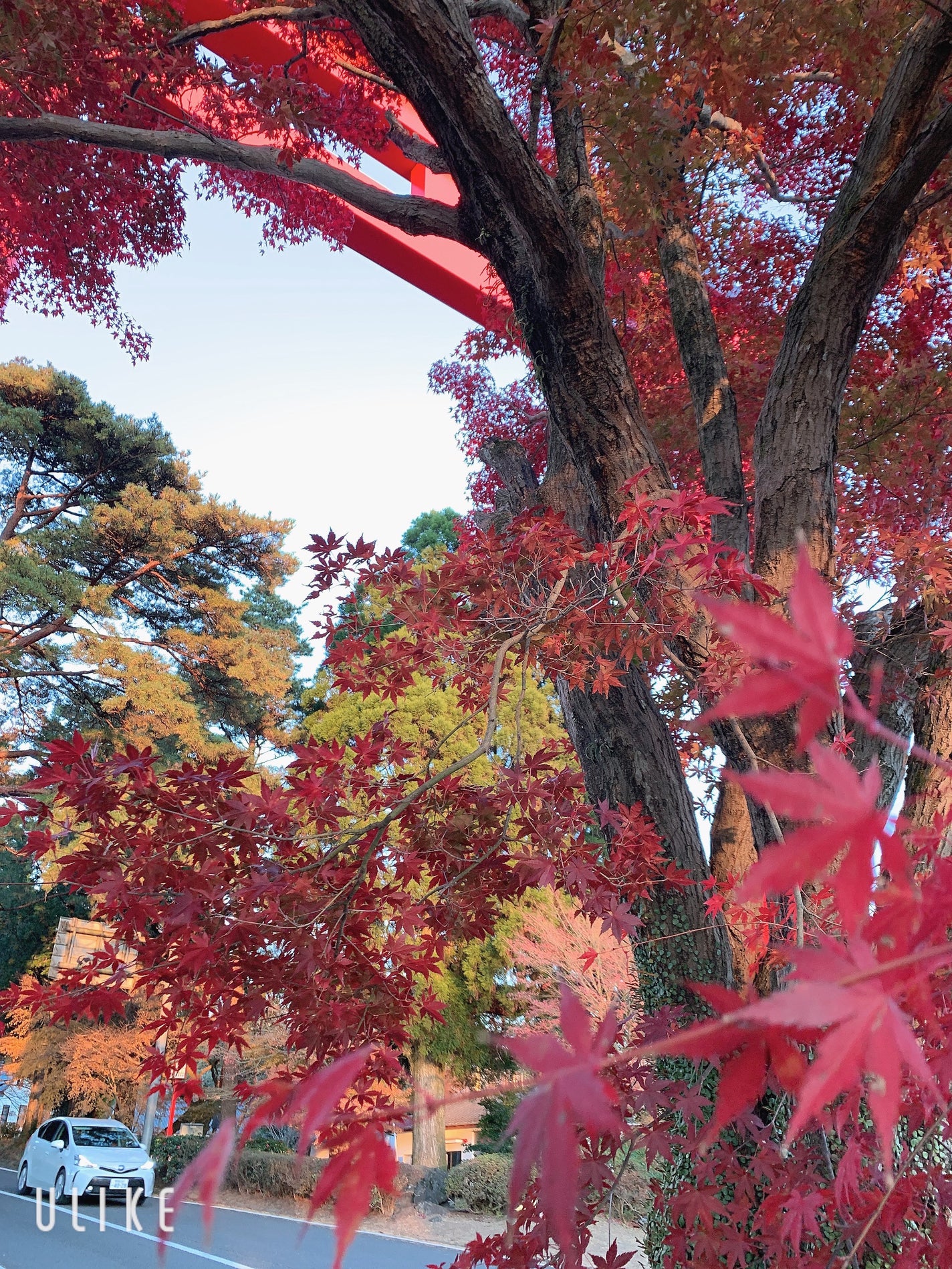 йаÑsÏ
ð¥ã³ã¹ã¡ð奜ããããšæ²¢å±±ç¹ããããð on LIPS ããçŽ
èðããèŠã«ãå®¶æðãã§2ãïŒæ¥åè¡ã£ãŠããŸããð¥°ðæ¯å¹Žâš..ãïŒ4æç®ïŒ