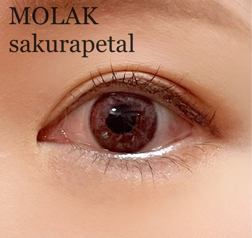 MOLAK 1day/MOLAK/ワンデー（１DAY）カラコンを使ったクチコミ（2枚目）