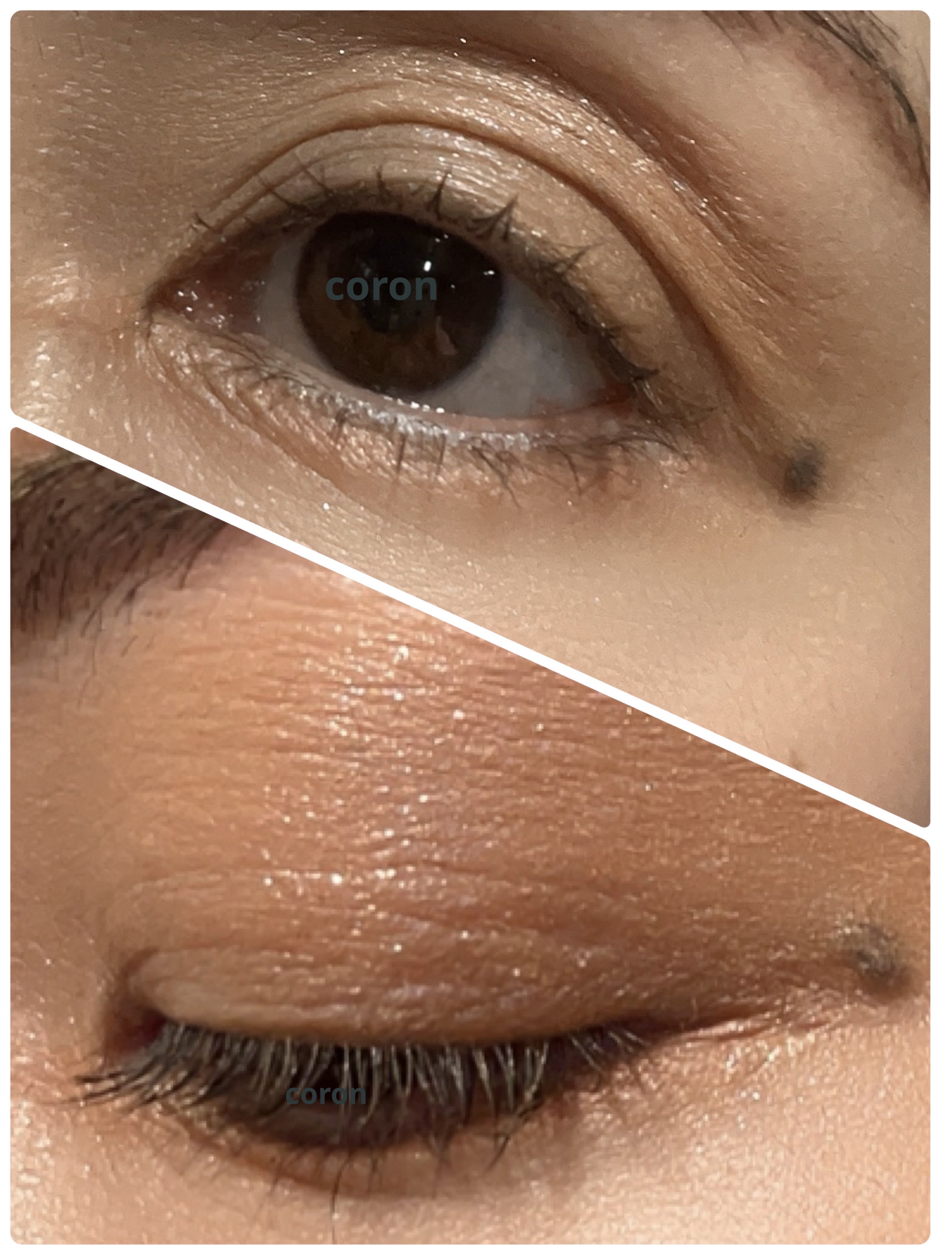 SUQQU スパークル アイライナー/SUQQU/リキッドアイライナーを使ったクチコミ（2枚目）