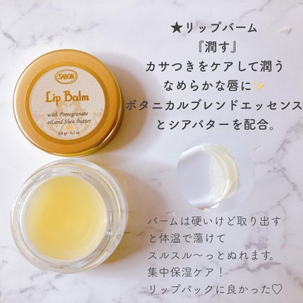 リップポリッシャー/SABON/リップスクラブを使ったクチコミ(3枚目)
