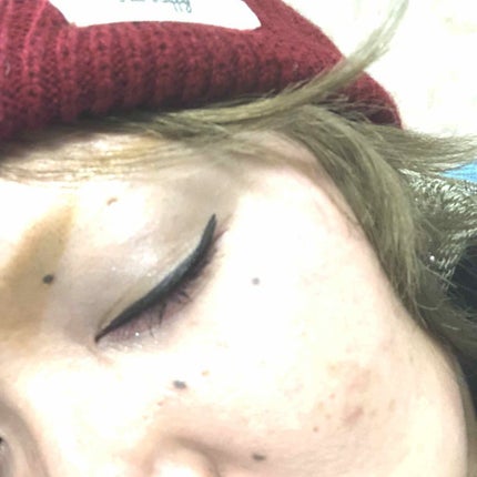 フォトレディ プライマー プラス シャドウ/REVLON/アイシャドウパレットを使ったクチコミ(3枚目)