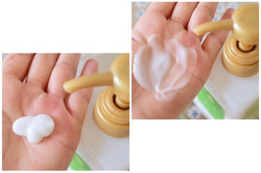 KAMIKA クリームシャンプー ティーフローラルの香りのクチコミ「KAMIKAクリームシャンプー
を使ってみています🤗

髪のダメージを補修して美髪を育てる♪
.....」（3枚目）