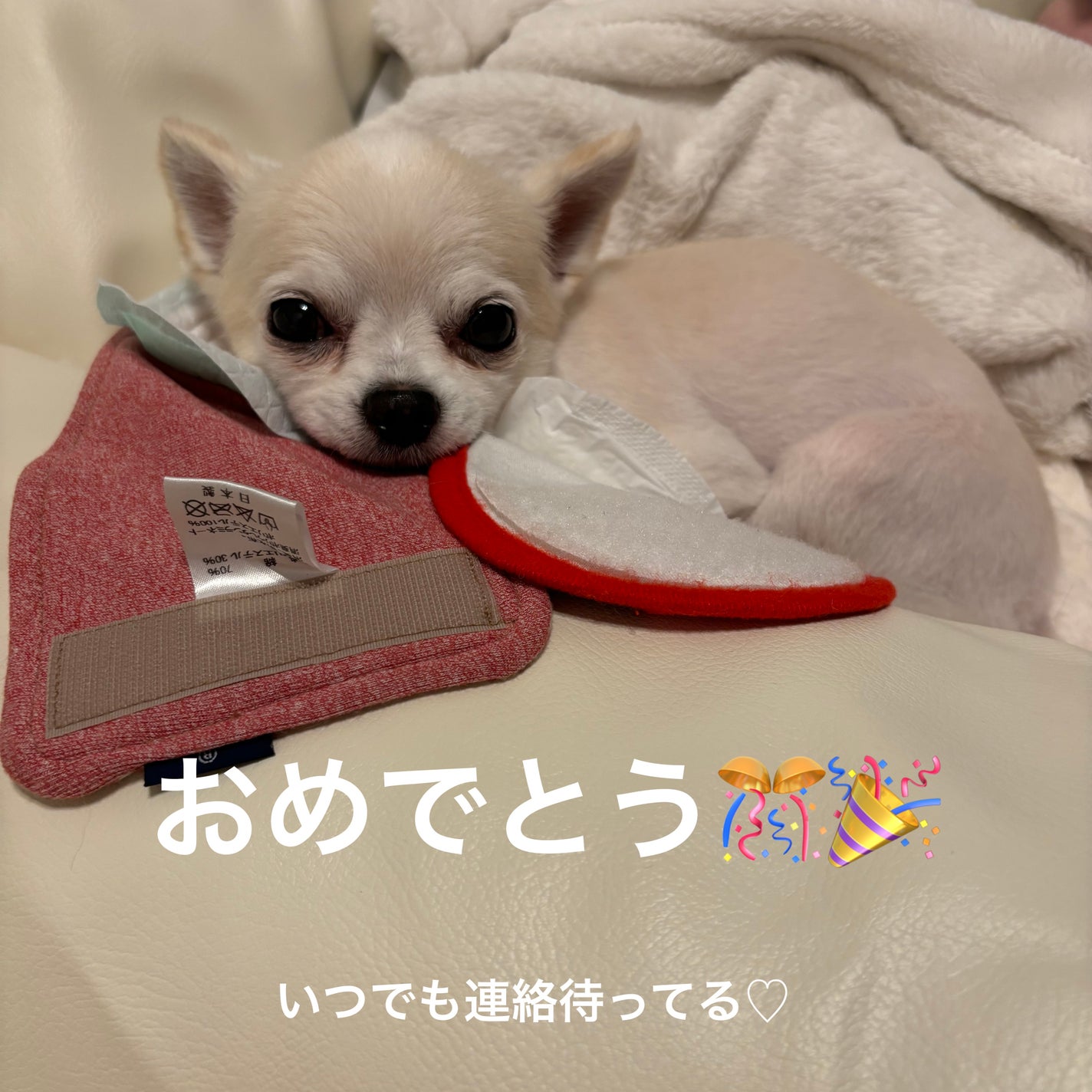 ミニネイル/パラドゥ/マニキュアを使ったクチコミ(8枚目)