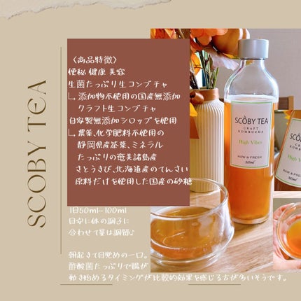 生コンブチャ/SCOBY TEA /コンブチャを使ったクチコミ(2枚目)