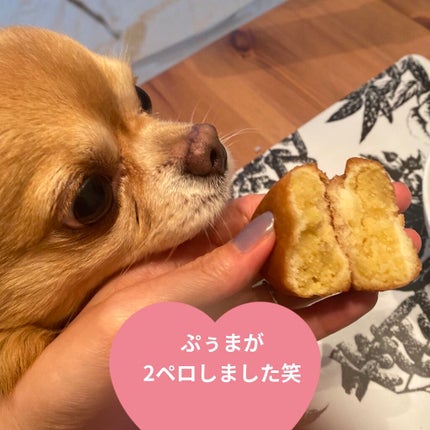 湯ったり周遊パック/旅の宿/入浴剤を使ったクチコミ(9枚目)