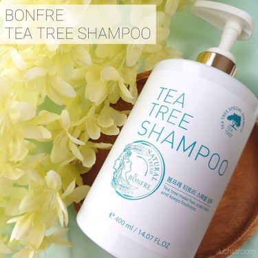 BONFRE TEA TREE SHAMPOO/NICHIRICH/シャンプー・コンディショナーを使ったクチコミ（1枚目）