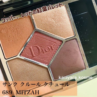 【旧】サンク クルール クチュール/Dior/アイシャドウパレットを使ったクチコミ（2枚目）