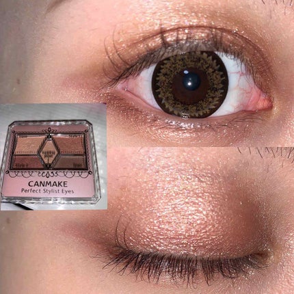 【旧品】パーフェクトスタイリストアイズ/キャンメイク/アイシャドウパレットを使ったクチコミ(1枚目)