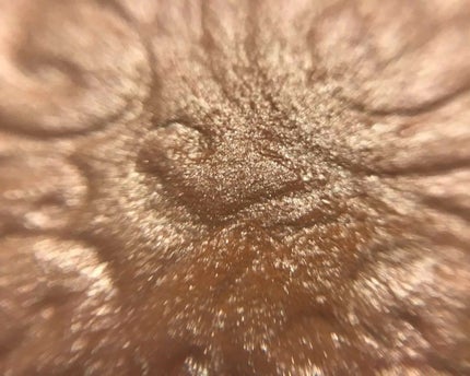 パールグロウハイライト/CEZANNE/パウダーハイライトを使ったクチコミ(3枚目)