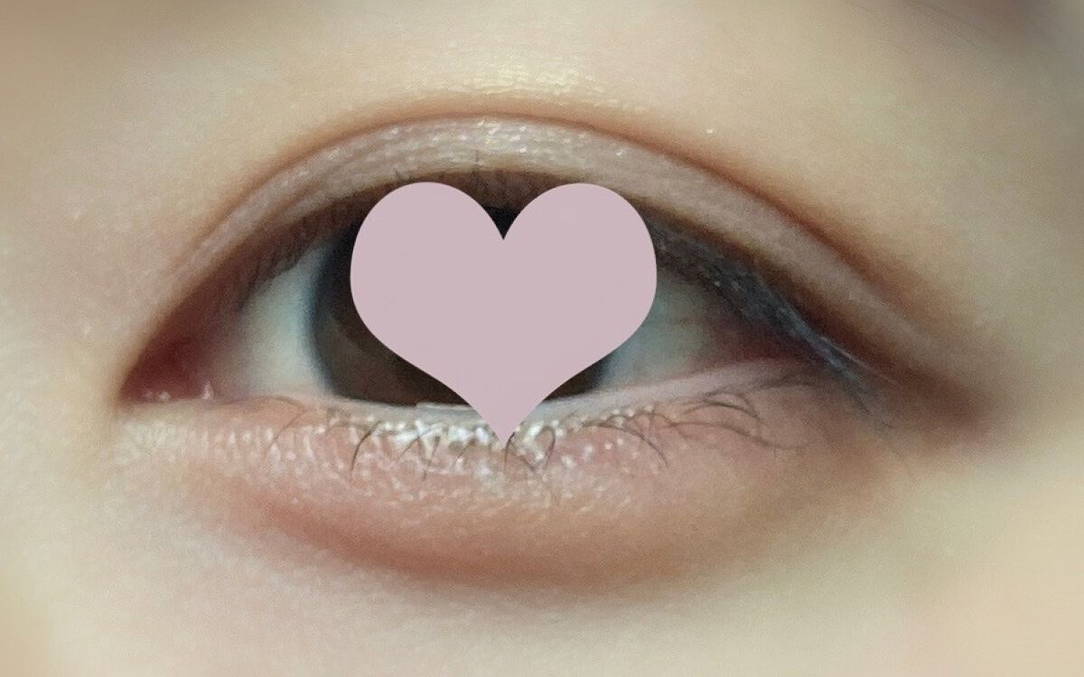 【旧】サンク クルール クチュール/Dior/アイシャドウパレットを使ったクチコミ(1枚目)