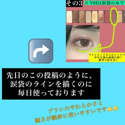 春姫 リップブラシ/DAISO/メイクブラシを使ったクチコミ(5枚目)