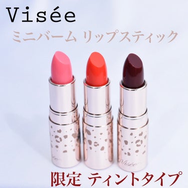 ミニバーム リップスティック PU112 ダークプラム(限定ティント)/Visée/口紅を使ったクチコミ（1枚目）