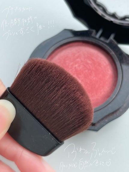 フォギーオンチークス N/Visée/パウダーチークを使ったクチコミ(4枚目)