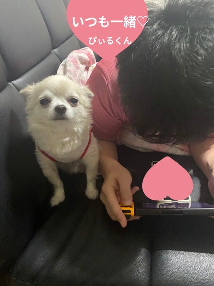 チーク ポップ/CLINIQUE/パウダーチークを使ったクチコミ(9枚目)