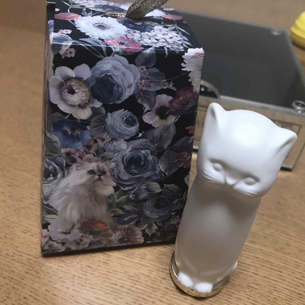 リップスティック ケース N/PAUL & JOE BEAUTE/口紅を使ったクチコミ（1枚目）