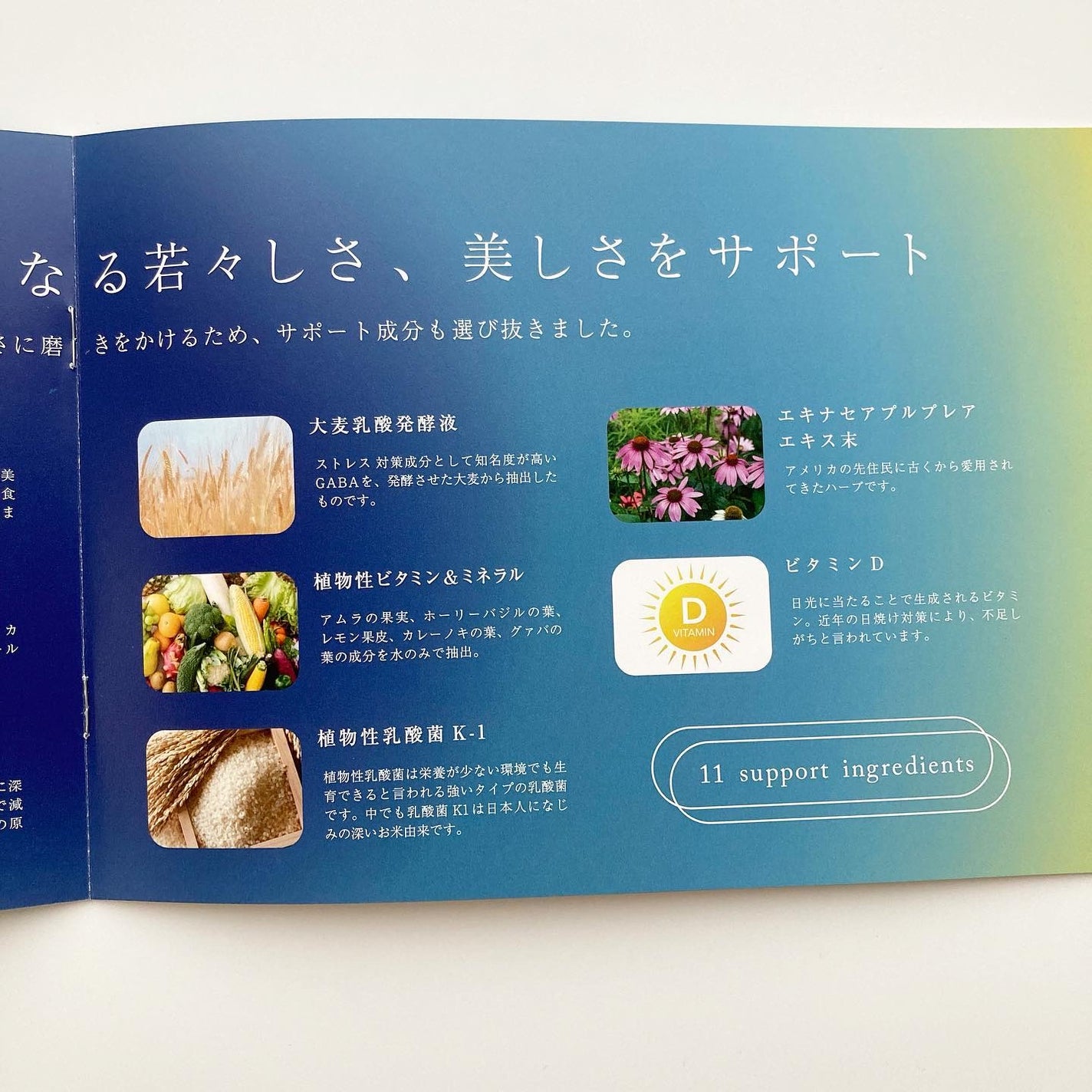 PERFECT NMN/ナチュレジャパン/美容サプリメントを使ったクチコミ(5枚目)