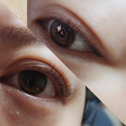 プッシュアップカーラー/貝印/ビューラーを使ったクチコミ(5枚目)