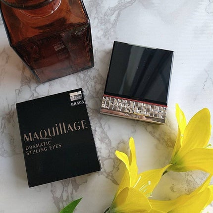 ドラマティックスタイリングアイズ/マキアージュ/アイシャドウパレットを使ったクチコミ(1枚目)