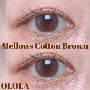 ︎︎︎︎のあ🧸 on LIPS 「MellowsCottonBrown୨୧┈┈┈┈┈┈┈┈┈┈┈..」（1枚目）