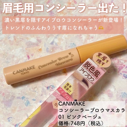 コンシーラーブロウマスカラ/キャンメイク/その他アイブロウを使ったクチコミ(2枚目)
