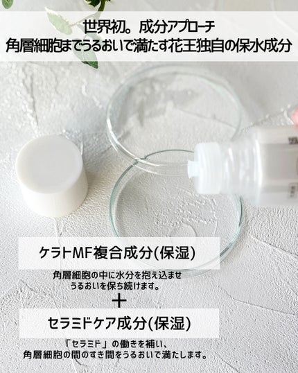 ソフィーナ iP 角層トリートメント 基礎化粧液/SOFINA iP/化粧水を使ったクチコミ(3枚目)