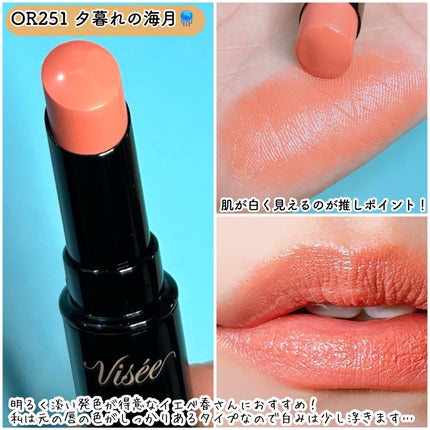 ニュアンス デューイ クリエイター/Visée/アイシャドウパレットを使ったクチコミ(3枚目)