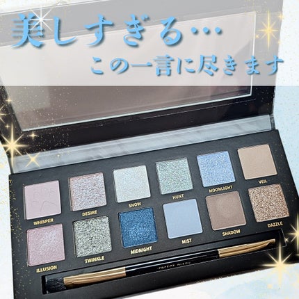 エクスプローラ12色 動物アイシャドウパレット/PERFECT DIARY/アイシャドウパレットを使ったクチコミ(2枚目)