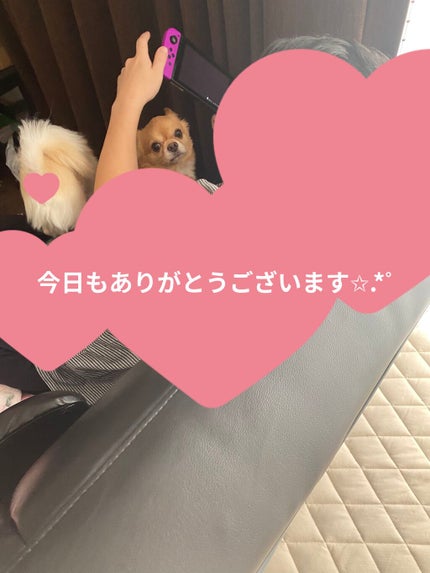 Slowbliss Herbwater oil 1/Slowbliss/美容液を使ったクチコミ(4枚目)