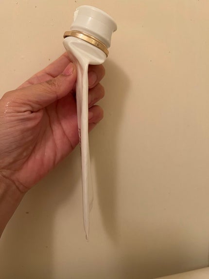 ムースネトワイアントCn/クレ・ド・ポー ボーテ/洗顔フォームを使ったクチコミ(2枚目)