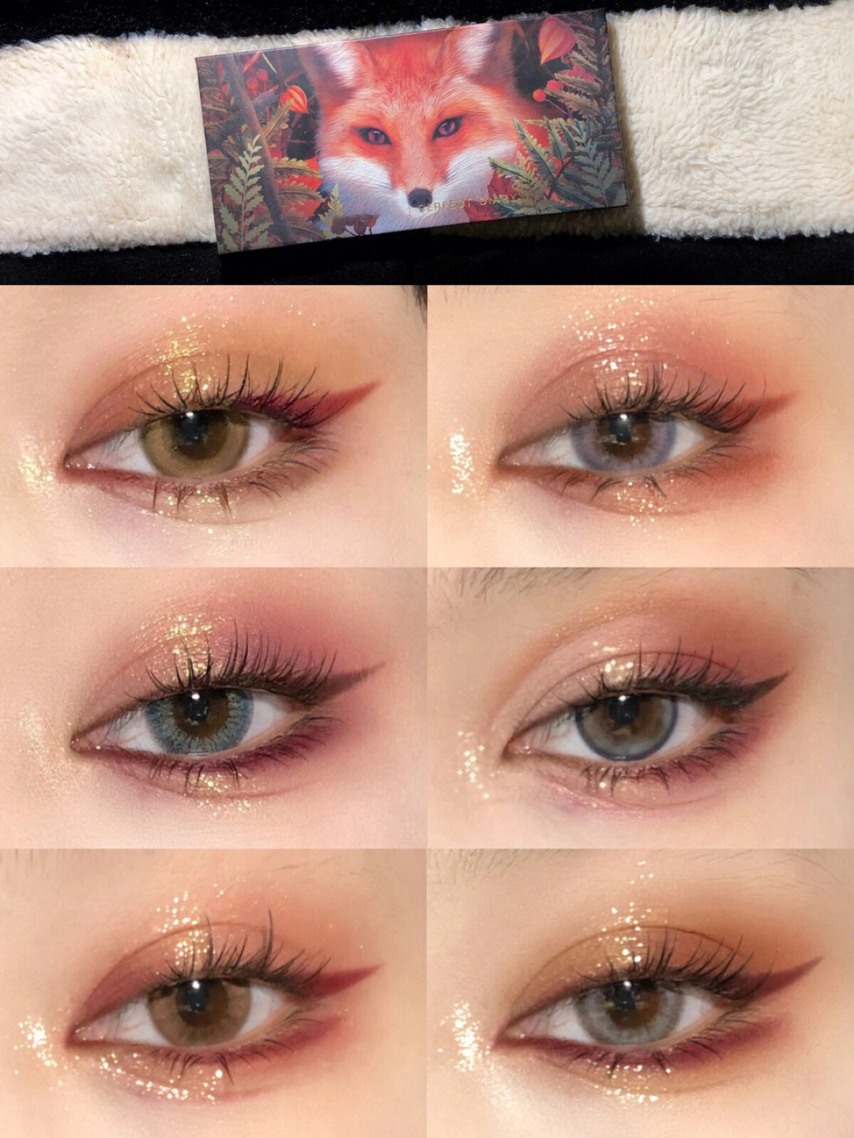 エクスプローラ12色 動物アイシャドウパレット/PERFECT DIARY/アイシャドウパレットを使ったクチコミ（1枚目）