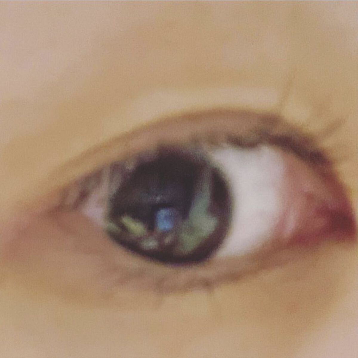 フリーファイバー120<下地&カッター付き>スタンダードタイプ 120本入/メザイク/二重まぶた用アイテムを使ったクチコミ（2枚目）