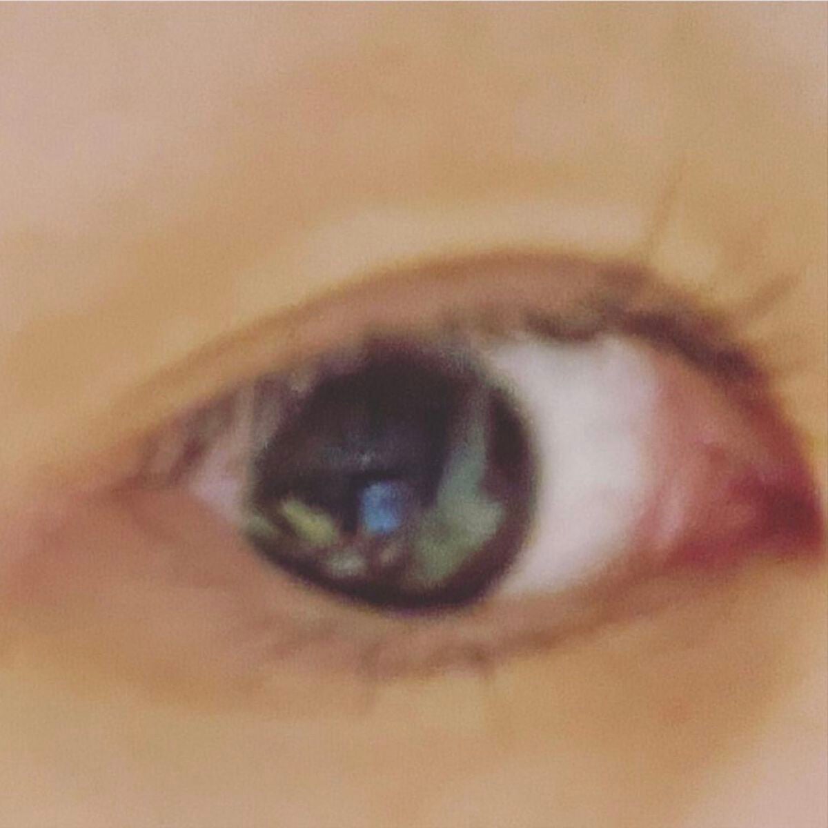 フリーファイバー120<下地&カッター付き>スタンダードタイプ 120本入/メザイク/二重まぶた用アイテムを使ったクチコミ(2枚目)