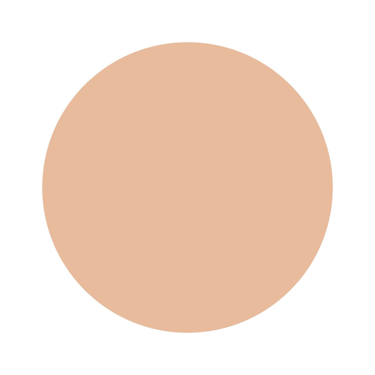 ミネラルエアーファンデーション ライトベージュ