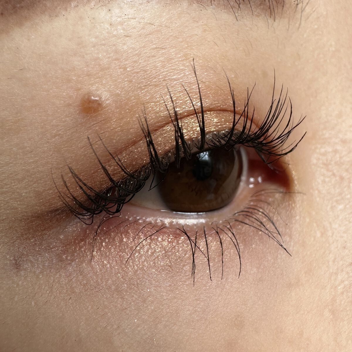 アイ カラー クォード/TOM FORD BEAUTY/アイシャドウパレットを使ったクチコミ（2枚目）