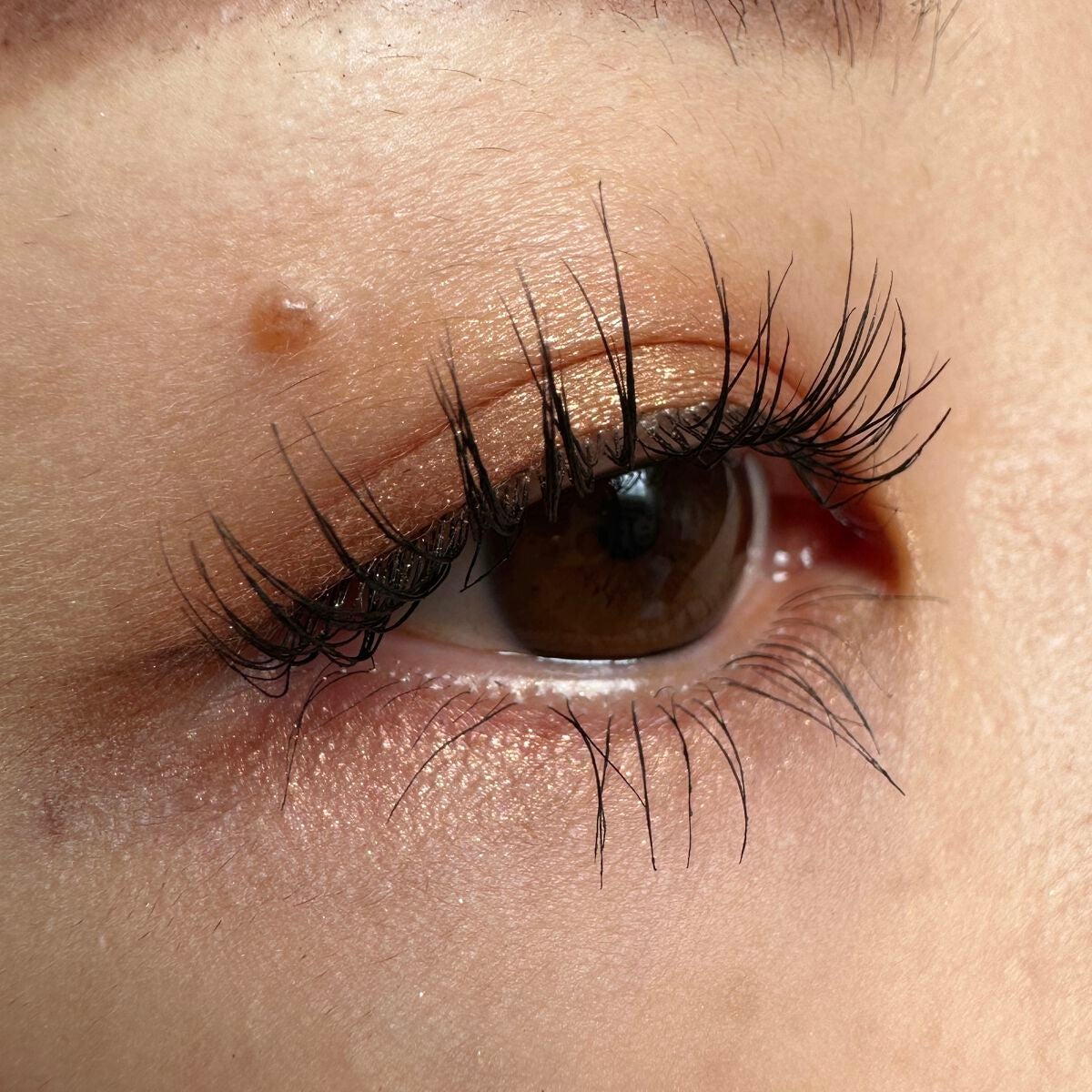 アイ カラー クォード/TOM FORD BEAUTY/アイシャドウパレットを使ったクチコミ(2枚目)