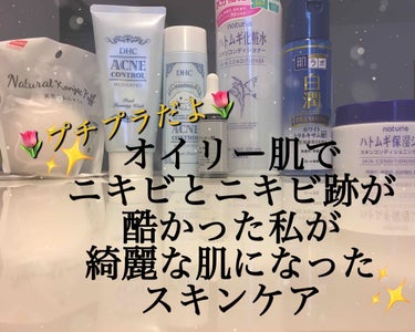 白潤プレミアム 薬用浸透美白化粧水/肌ラボ/化粧水を使ったクチコミ（1枚目）