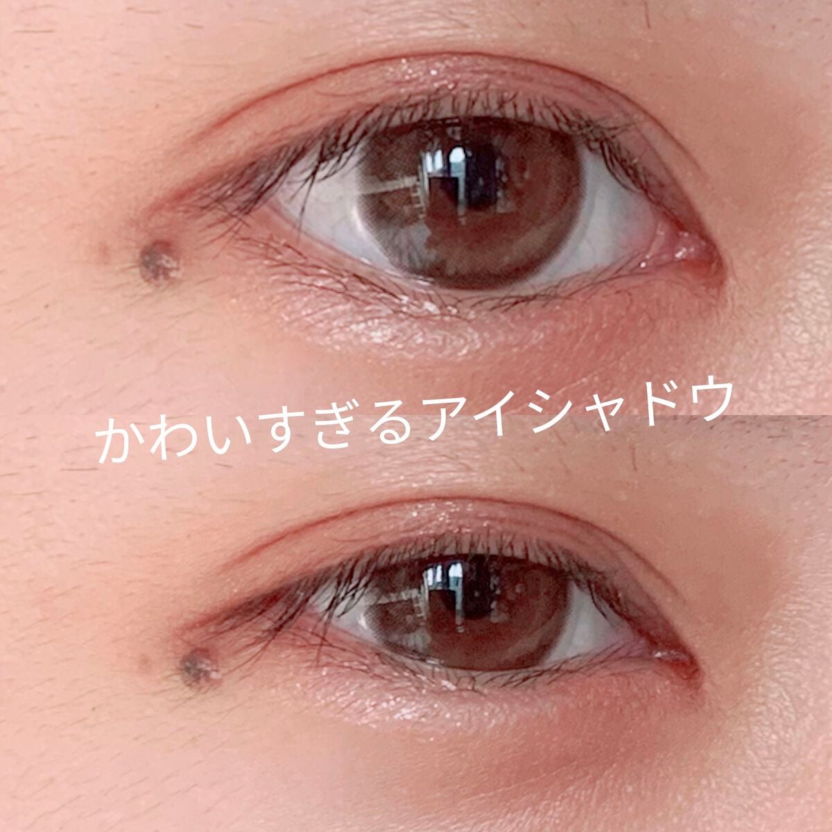 シルキースフレアイズ(マットタイプ)/キャンメイク/アイシャドウパレットを使ったクチコミ(1枚目)